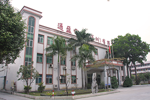 Tong Ying Electronics (Shenzhen) Co., Ltd.