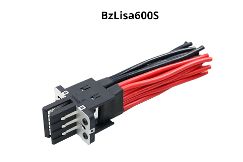 BzLisa600S-480x320-1