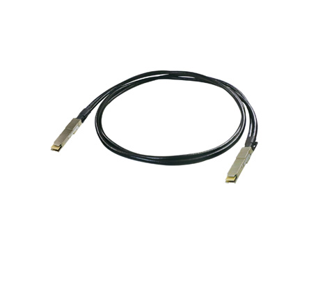 800G QSFP-DD Direct Attach Cable (2m)